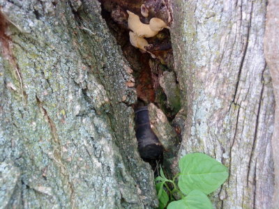 DSC02406_resize.JPG