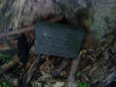 DSC02408_resize.JPG