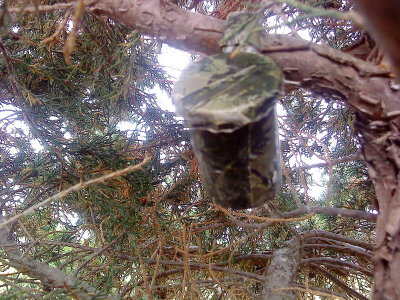 DSC02410_resize.JPG
