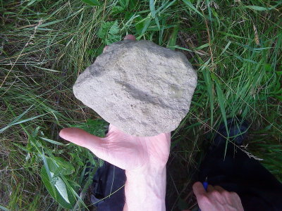 DSC02413_resize.JPG