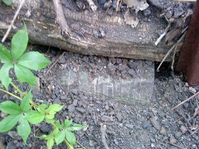 DSC02470_resize.JPG