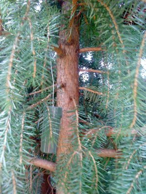 DSC02485_resize.JPG