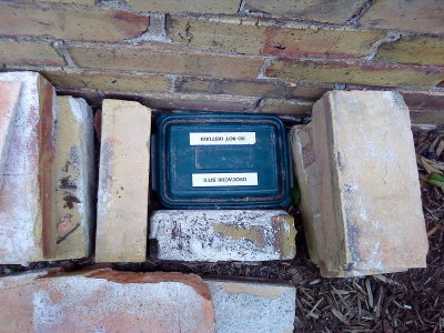 DSC02511_resize.JPG