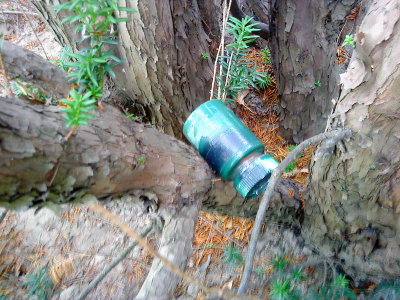 DSC02525_resize.JPG