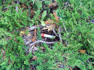 DSC02544_resize.JPG