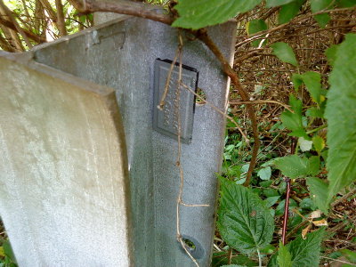 DSC02579_resize.JPG