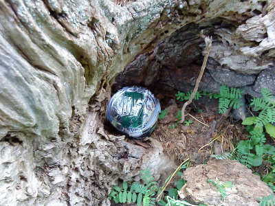 DSC02580_resize.JPG