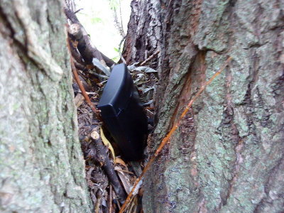 DSC02582_resize.JPG