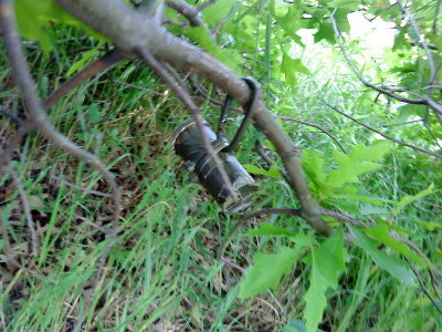 DSC02595_resize.JPG