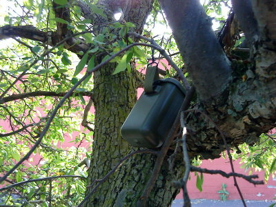 DSC02601_resize.JPG