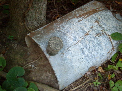 DSC02602_resize.JPG