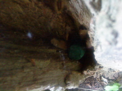 DSC02676_resize.JPG