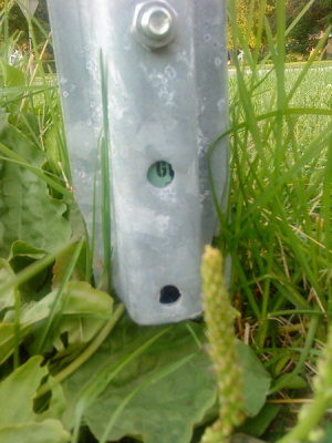 DSC02677_resize.JPG