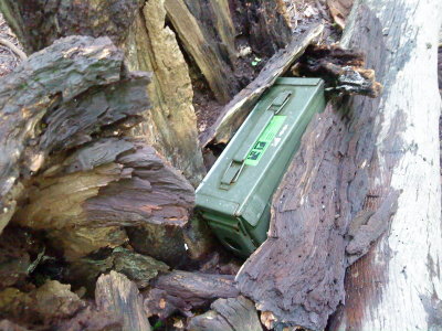 DSC02702_resize.JPG