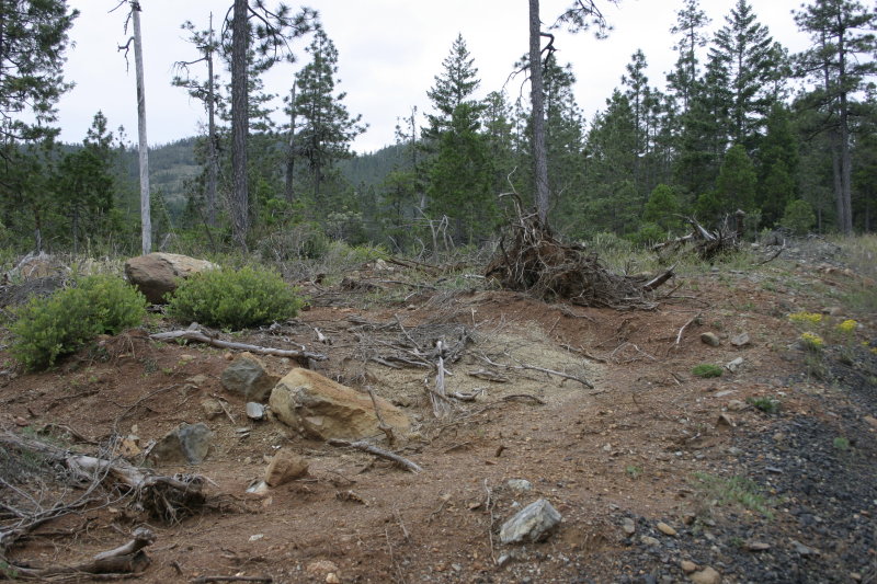 McGrew Trail