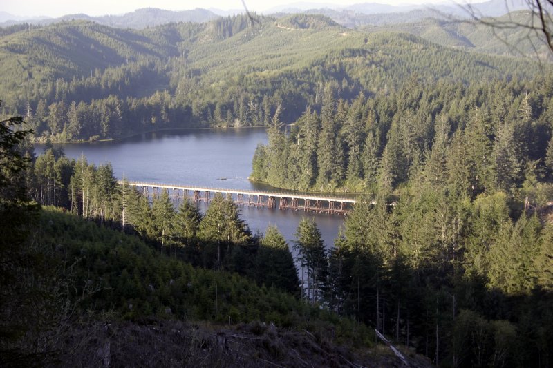 Bridge by Bandon.jpg