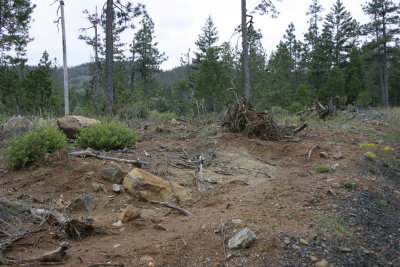 McGrew Trail