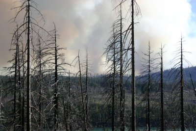 Yellowstone