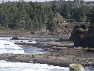 Oregon Coast