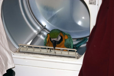 Hey whats in here?