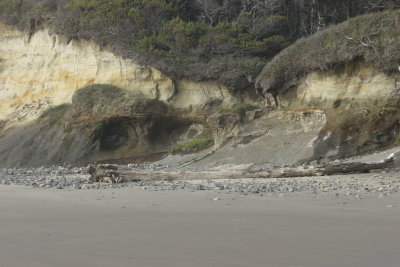 caves on shore