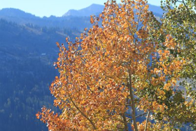 IMG_0240.JPG