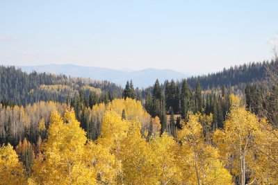 IMG_0247.JPG