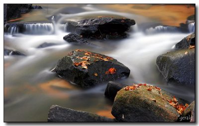 Channy Creek