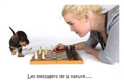 g1/95/635495/3/127298721.EdbaqmYT.jpg