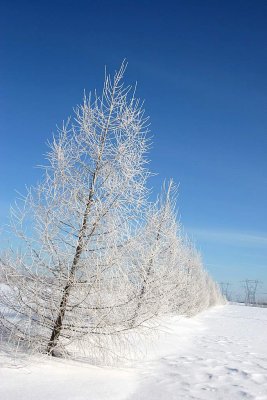  Pourquoi certaines  personnes sont plus sensibles aux beauts de la nature