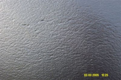 DCP_2079.JPG