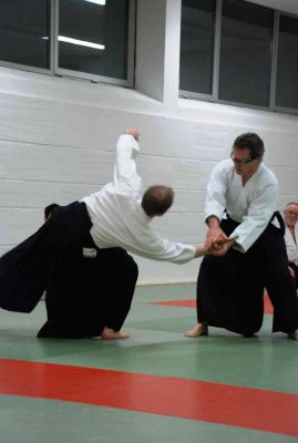 Aikido + SDC 2009 (10).jpg