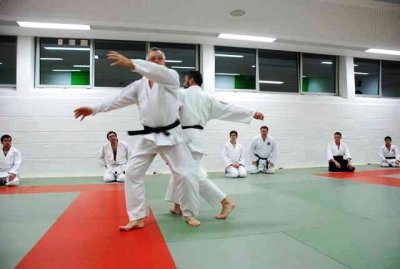 Aikido + SDC 2009 (20).jpg