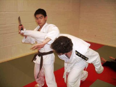 Aikido + SDC 2009 (51).jpg