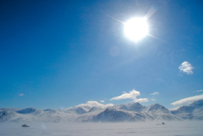 labrador