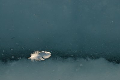 g1/95/670595/3/96983613.S1lq0OFP.jpg