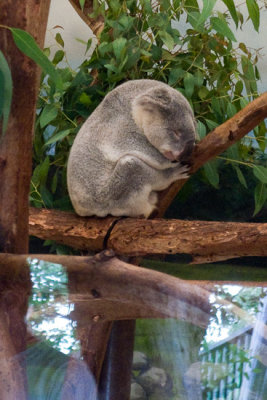 1090_Zoo.jpg