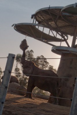 1102_Zoo.jpg