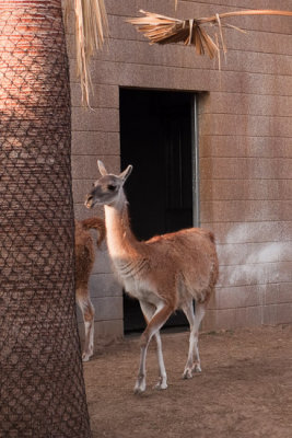 1108_Zoo.jpg