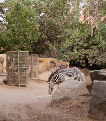 1129_Zoo.jpg