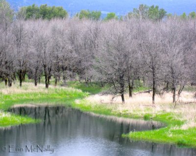 Landscapes & Scenery