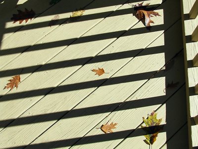 Lines