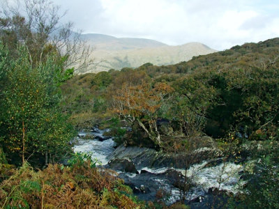 Ring of Kerry Stream