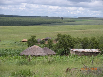 g1/95/721295/3/108374900.KQAlFjqf.jpg