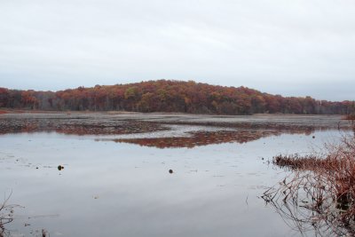 IMG_1611.JPG