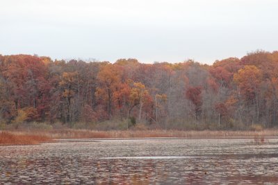 IMG_1617.JPG