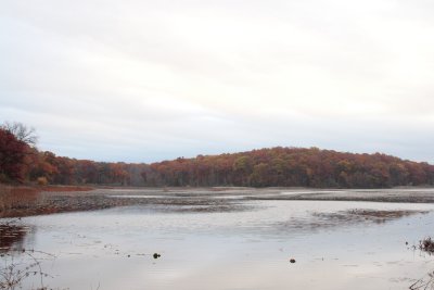 IMG_1619.JPG
