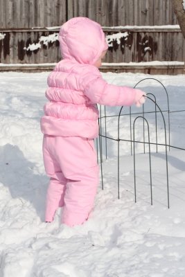 IMG_2193.JPG