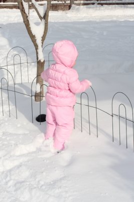 IMG_2205.JPG
