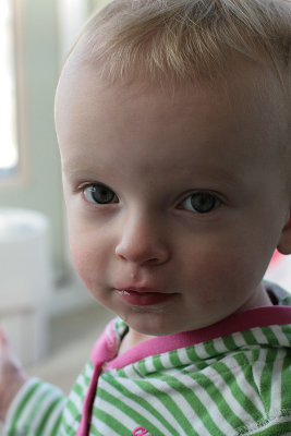 Seventeen Months